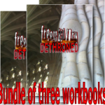 Workbook bundle of 3 x Freemasonry Dethroned by Derek Robert FREE POSTAGE